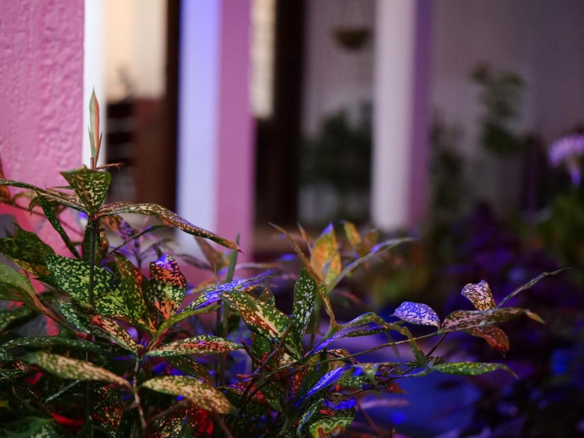 Elegance Oasis, Colombo 3 Otel Dış mekan fotoğraf
